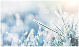 Snow on grass