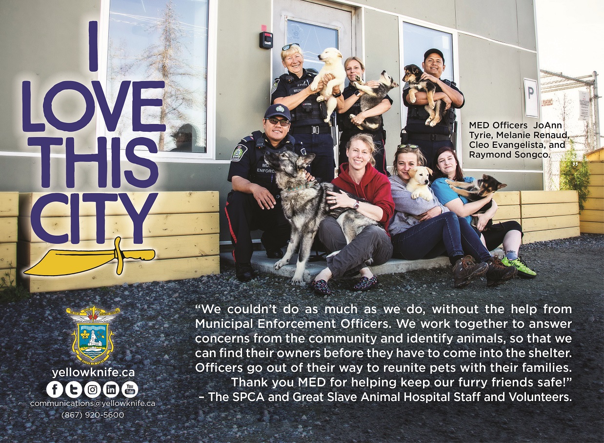 I Love This City - SPCA