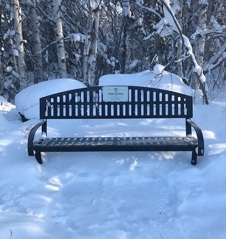 City Bench