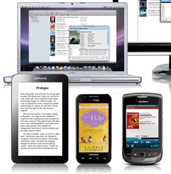 ebooks and audiobooks on tablets, computers and mobile devices