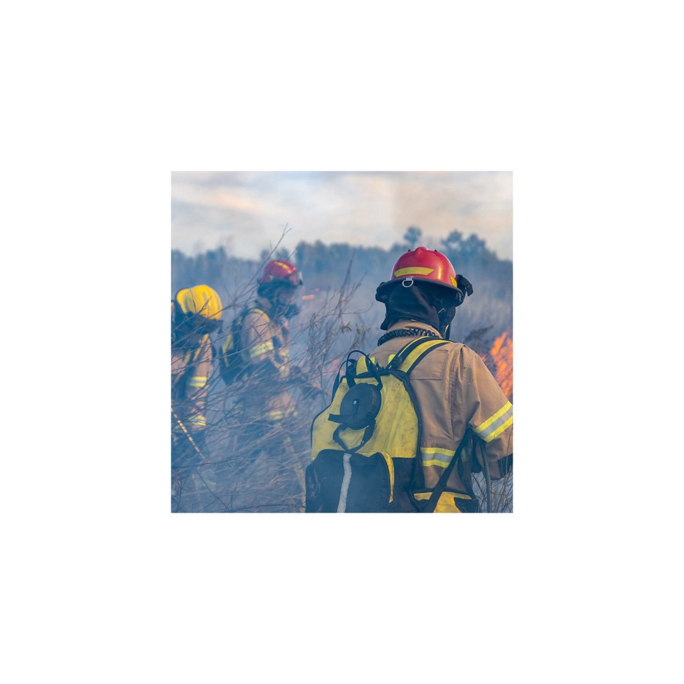 Wildfire Information