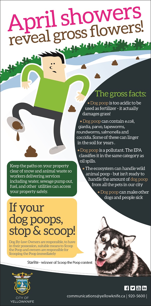 Scoop Poop Poster Scoop Poop Poster