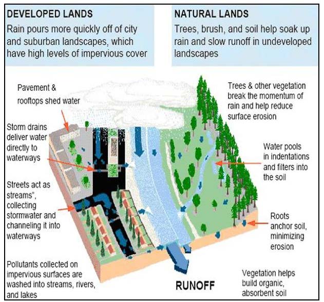 Stormwater Diagram