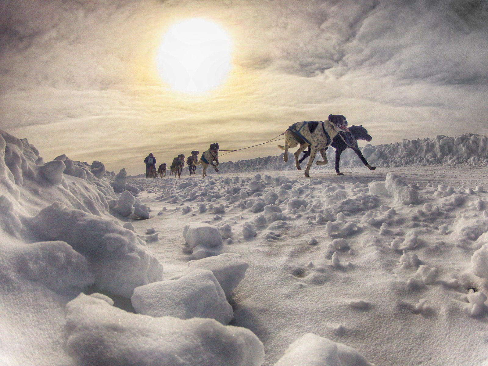 Jeffrey Goudreeau_Richard Beck during Diavik 150 Canadian Championship Dog Derby