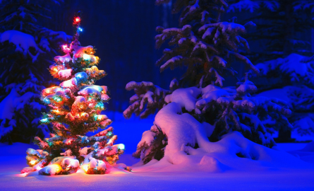 Winter Lights Across Canada