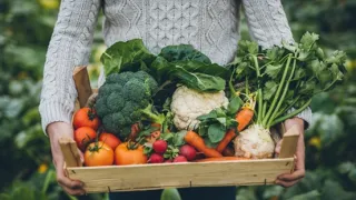 Basket of Vegetables