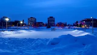 Frame Lake Skating Oval Lights