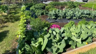 Northern Roots Garden by Lone Sorensen