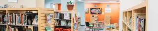 Library Shelves
