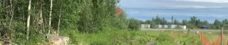 Kam Lake Community Orchard