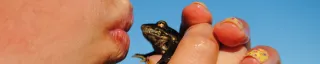 Girl kisses frog 