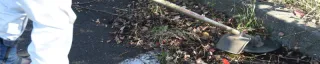 Sidewalk grass cutting