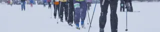 Cross-Country Skiing race 