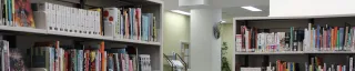 Library Bookshelf 