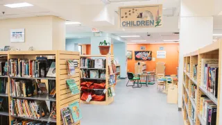 Library Shelves