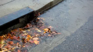 Storm Water flushing into the drain
