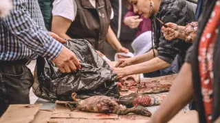 Skinning animals