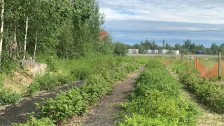 Kam Lake Community Orchard