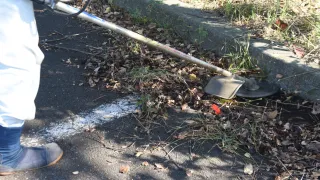 Sidewalk grass cutting