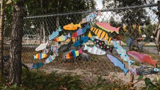 Fish art on a park fence