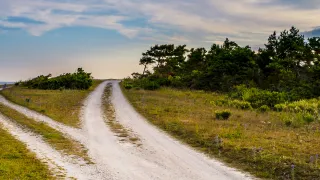 Gravy road