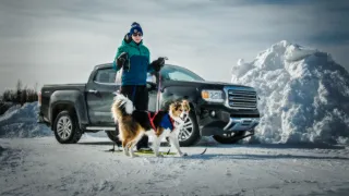 Skiing with Dog