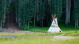 Tipi