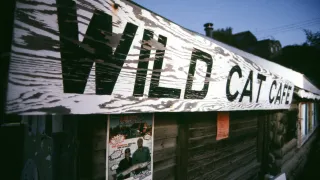 Wildcat Cafe Sign 