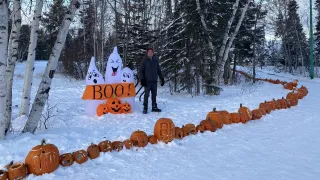 Pumpkin Lane