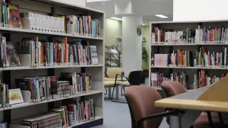 Library Bookshelf 