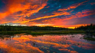 Lake View_Past Photo Contest Winning Shot