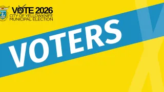 Voter information