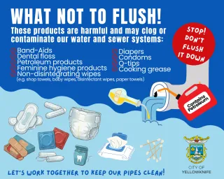 What not to Flush infographic